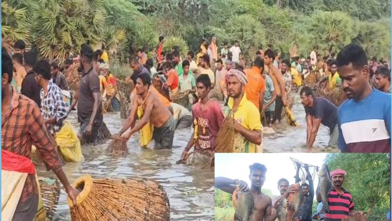 சிவகங்கை மாவட்டம் திருப்பத்தூர் அருகே மீன்பிடி திருவிழா…
