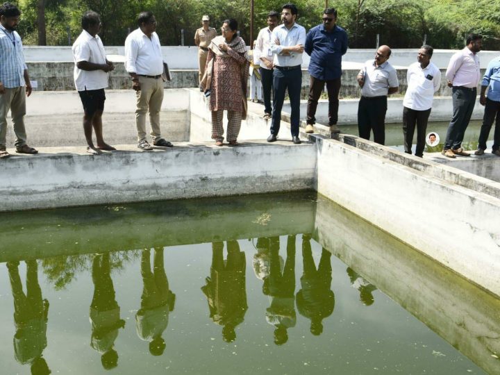 வைகை அணைப்பகுதியில் உள்ள மீன் பண்ணை செயல்பாடுகள் குறித்து ஆணையர் ஆய்வு…