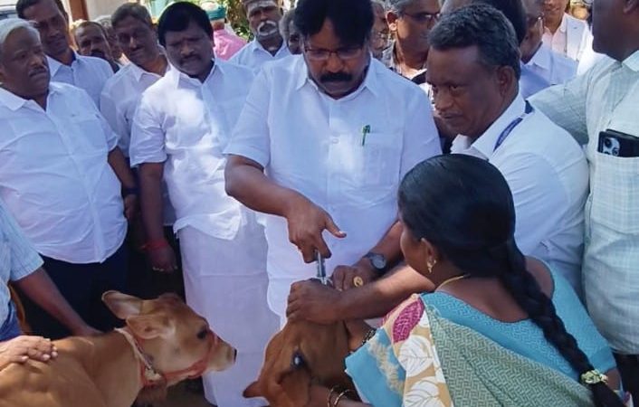 பெரம்பலூர் மாவட்டம்சிறப்பு கால்நடை சுகாதார மற்றும் விழிப்புணர்வு முகாமினைபெரம்பலூர் சட்டமன்ற உறுப்பினர் ம.பிரபாகரன்  தொடங்கி வைத்தார்.பெரம்பலூர் மாவட்டம் வேலூர் ஊராட்சியில், கால்நடை பராமரிப்புதுறை சார்பில் சிறப்பு கால்நடை சுகாதார மற்றும் விழிப்புணர்வு முகாமினை பெரம்பலூர் சட்டமன்ற உறுப்பினர் ம.பிரபாகரன் அவர்கள் பெரம்பலூர் மாவட்ட அறங்காவலர் குழு தலைவர் திரு.கலியபெருமாள் முன்னிலையில் இன்று (05.07.2025) தொடங்கி வைத்தார்.