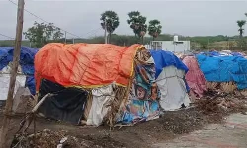 கூடாரம் அமைத்து தங்கிவழிபடும் மக்கள் .  ராமநாதபுரம் மாவட்டம் கமுதி அருகே கருங்குளம் கிராமத்தில் சந்தன மாரியம்மன் கோயில் ஆடி திருவிழாவை முன்னிட்டு வெளிமாவட்ட பக்தர்கள் காப்புகட்டி கூடாரம் அமைத்து தங்கி விரதம் இருந்து வருகின்றனர்.