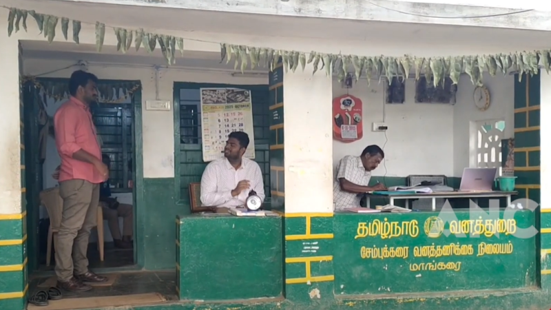 கோவையில் தமிழக- கேரள எல்லை வன சோதனை சாவடிகளில் லஞ்சம் பெற்ற மூன்று வனக்காவலர்களை லஞ்ச ஒழிப்பு துறை போலிசார் கையும் களவுமாக பிடித்து விசாரணை நடத்தி வருகின்றனர்.