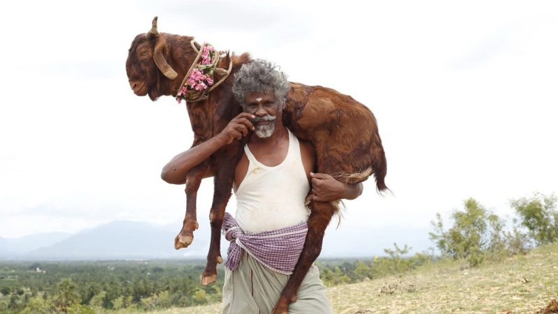 திருமலை புரொடக்ஷன் கா. கருப்புசாமி தயாரிப்பில் சுகவனம் எழுத்து, இயக்கத்தில் கொங்கு மண்ணையும் அதன் மக்களையும் கலப்படமில்லாமல் காட்சிப்படுத்தும் திரைப்படம் ‘ஒண்டிமுனியும் நல்லபாடனும்.