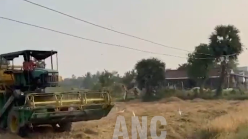 விளைந்த நெற்கதிரை அறுக்க முடியாமல் திணறும் விவசாயிகள் புதுக்கோட்டை மாவட்டம் அறந்தாங்கி அருகே உள்ள ஆவுடையார் கோவில் ஊராட்சியில்உள்ள பூங்குடிகிராமத்தில் விளை நிலங்களில் மின்கம்பிகள் செல்வதால் நெல் அறுவடை செய்யும் இயந்திரம் அறுக்க முடியாமல் திணறல் மின்சாரத்துறை அதிகாரிகளிடம் பலமுறை புகார் மனு அளித்தும் இதுவரை நடவடிக்கை இல்லை என்று இப்பகுதியில் உள்ளவர்கள் கூறுகின்றனர்