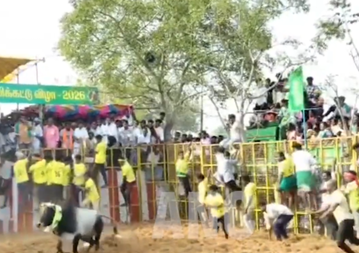 புதுக்கோட்டை மாவட்டத்தின் பிரசித்தி பெற்ற மலைய கோவில் முருகன் கோவில் தைப்பூசத் திருநாளை முன்னிட்டு ஜல்லிக்கட்டு போட்டிகள் நடைபெற்று வருகின்றன