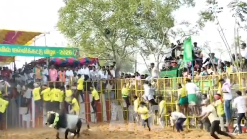 புதுக்கோட்டை மாவட்டத்தின் பிரசித்தி பெற்ற மலைய கோவில் முருகன் கோவில் தைப்பூசத் திருநாளை முன்னிட்டு ஜல்லிக்கட்டு போட்டிகள் நடைபெற்று வருகின்றன