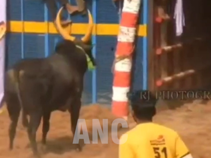 திருச்சி மாவட்டம் லால்குடி தாலுக்கா கல்லு குடி கிராமத்தில் நடைபெறும் ஜல்லிக்கட்டு போட்டிக்கு தடை விதிக்க வேண்டும் மாட்டின் உரிமையாளர் மாவட்ட ஆட்சியரகத்தில் புகார் வழங்கியதால் பரபரப்பு ஏற்பட்டது