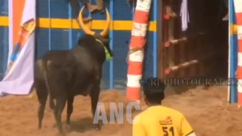 திருச்சி மாவட்டம் லால்குடி தாலுக்கா கல்லு குடி கிராமத்தில் நடைபெறும் ஜல்லிக்கட்டு போட்டிக்கு தடை விதிக்க வேண்டும் மாட்டின் உரிமையாளர் மாவட்ட ஆட்சியரகத்தில் புகார் வழங்கியதால் பரபரப்பு ஏற்பட்டது