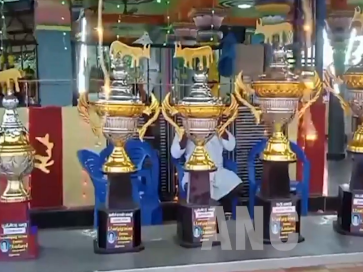 புதுக்கோட்டை மாவட்டம் அறந்தாங்கி அருகே தட்டான்வயல் கிராமத்தில் மாசிமகத்தை முன்னிட்டு மாபெரும் மாட்டு வண்டி எல்கை பந்தயம் நடைபெற்றது.