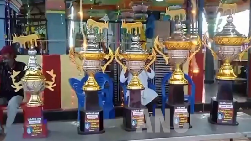 புதுக்கோட்டை மாவட்டம் அறந்தாங்கி அருகே தட்டான்வயல் கிராமத்தில் மாசிமகத்தை முன்னிட்டு மாபெரும் மாட்டு வண்டி எல்கை பந்தயம் நடைபெற்றது.