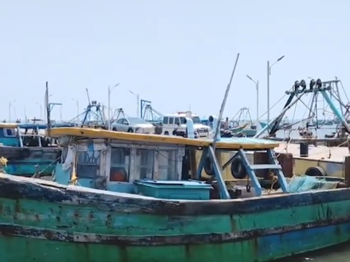 புதுக்கோட்டை மாவட்டம் கோட்டைப்பட்டினத்தில் 10 கோடி மதிப்பிலான மீன் இறங்குதளத்தினை மாண்புமிகு தமிழக முதலமைச்சர் காணொளி காட்சி வாயிலாக திறந்து வைத்தார்.