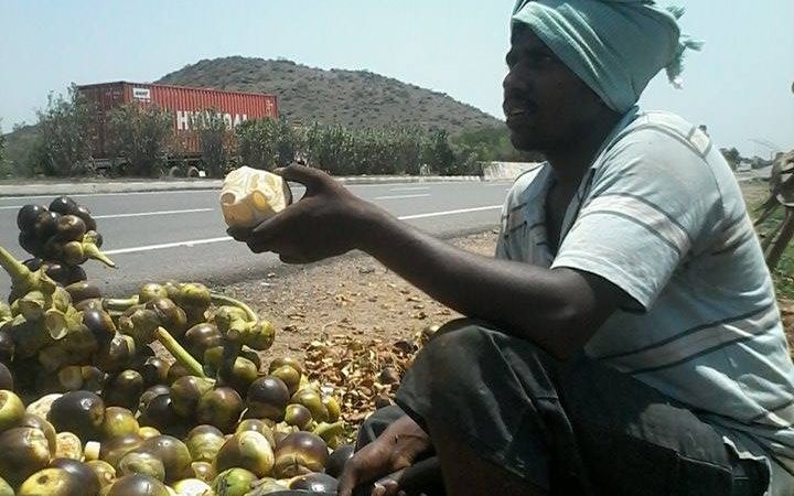 களைகட்டும் நுங்குவியாபாரம் வரத்துகுறைவால் வியாபாரிகள் கவலை …