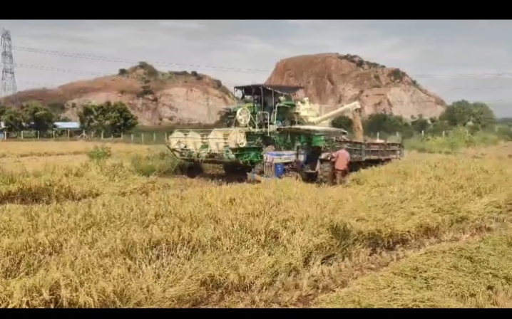 உசிலம்பட்டி அருகே நெல் கொள்முதல் நிலையம் அமைப்பதில் ஏற்பட்ட குளறுபடியால் – அறுவடை செய்த நெல்-யை கொள்முதல் செய்ய அதிகாரிகள் மறுப்பதாக விவசாயிகள் குற்றம் சாட்டி வருகின்றனர்.